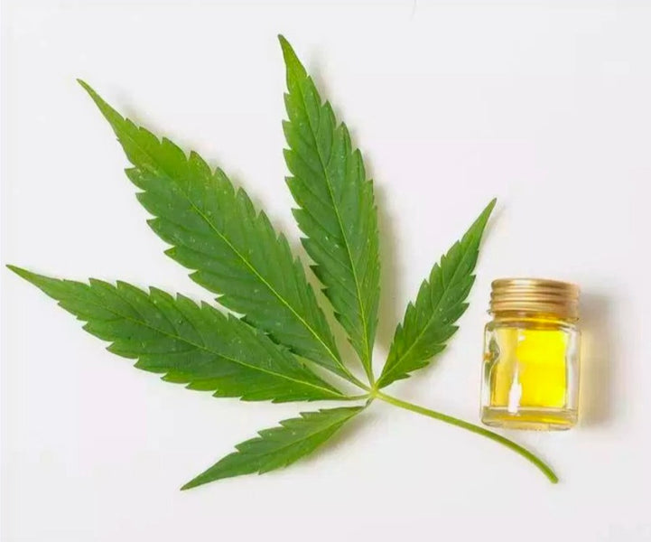 What is CBD Oil & What Are The Benefits?